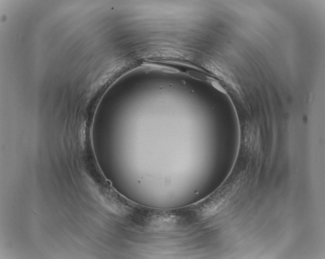 X0000089690206200706211259