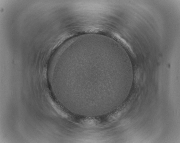 X0000089690209200706211259