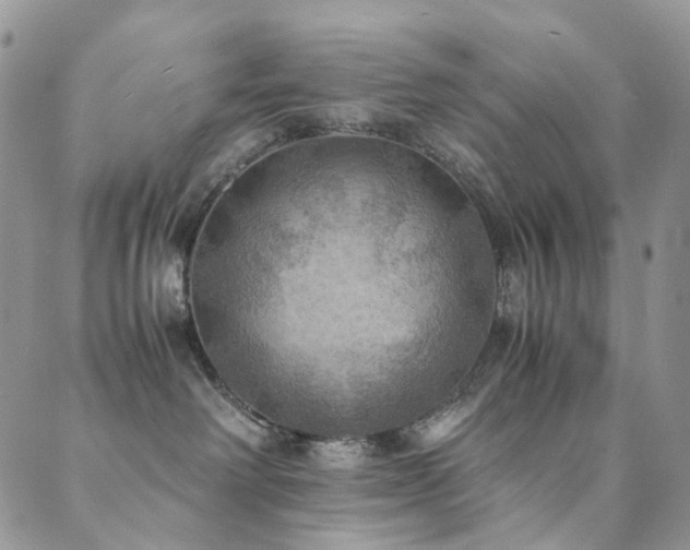 X0000089690238200706211258