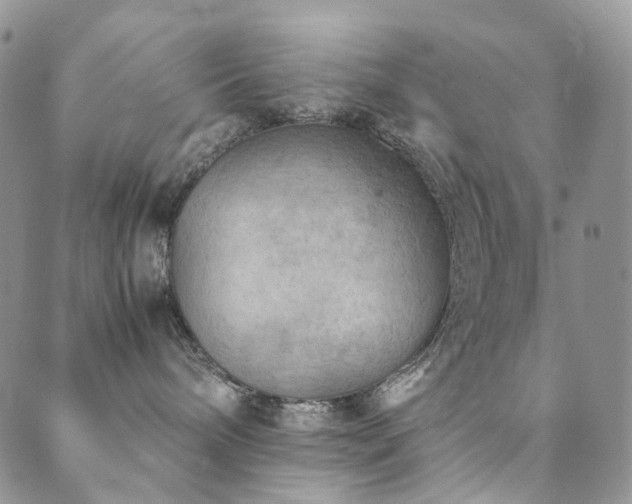 X0000089690240200706211258