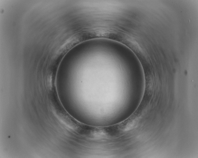 X0000089690262200706211258