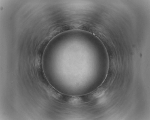 X0000089690274200706211258