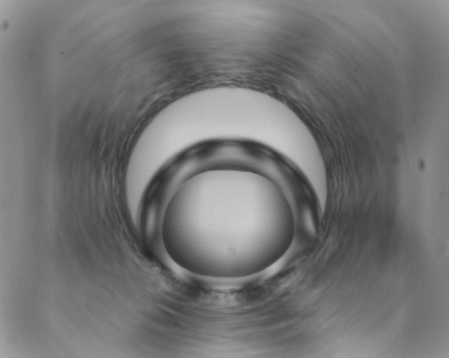X0000089690276200706211258