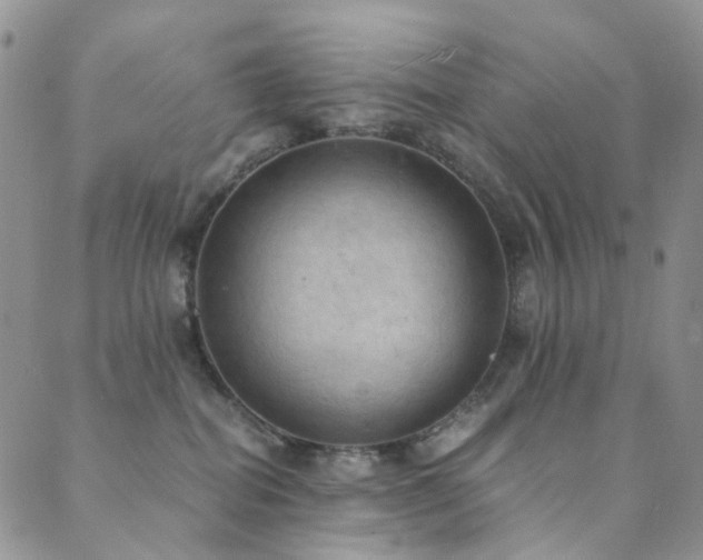 X0000089690282200706211258
