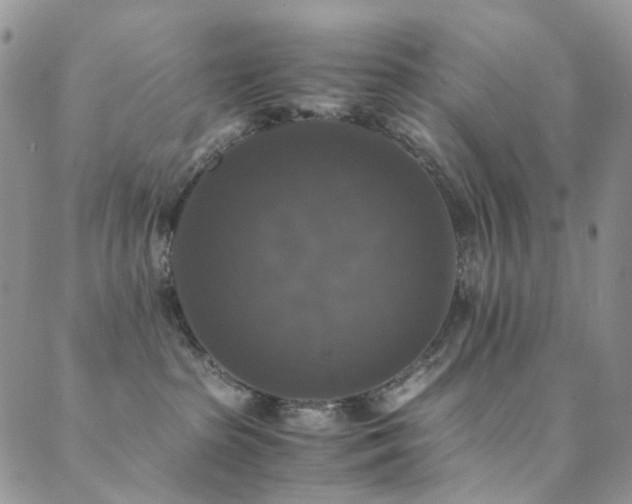 X0000089690285200706211258