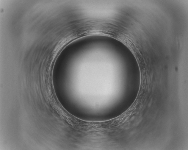 X0000089690289200706211257