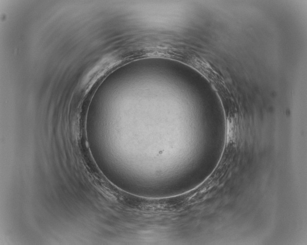 X0000089690291200706211257