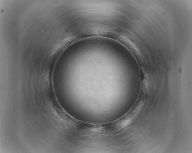 X0000089690306200706211257
