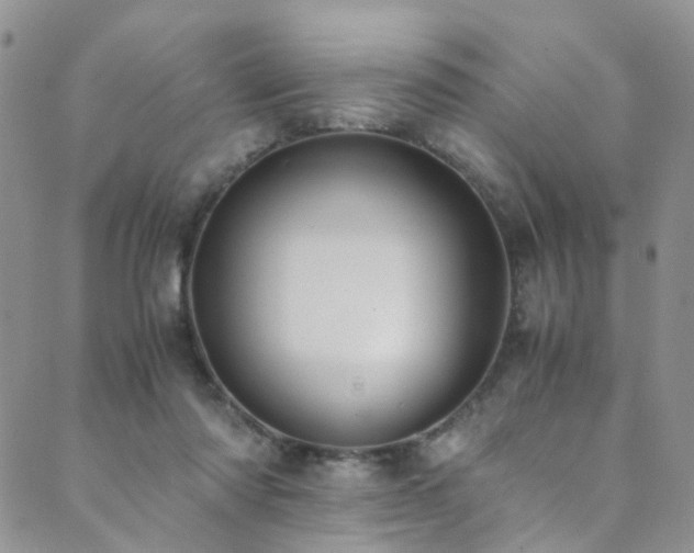 X0000089690310200706211257
