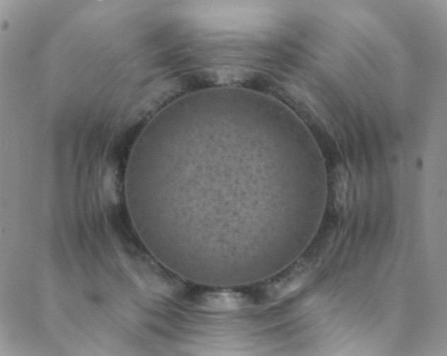 X0000089690316200706211257