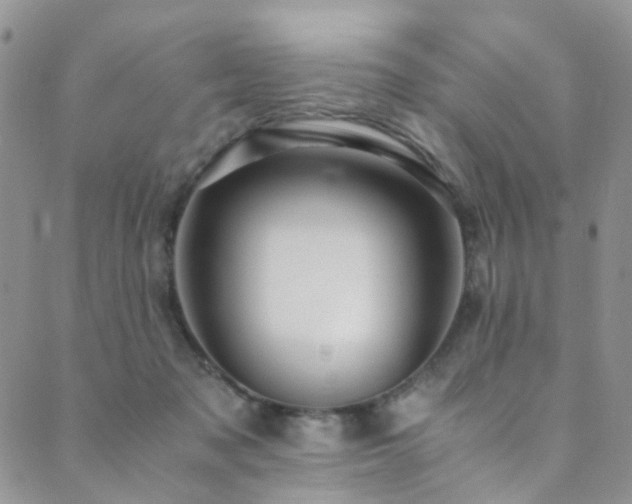 X0000089690317200706211257