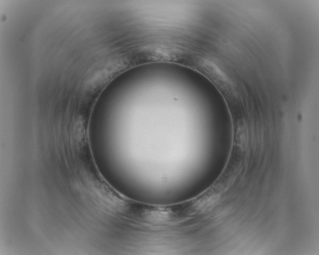 X0000089690318200706211257