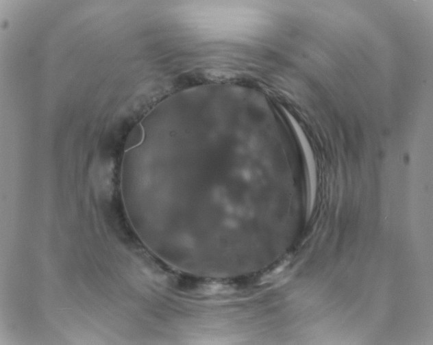 X0000089690319200706211257