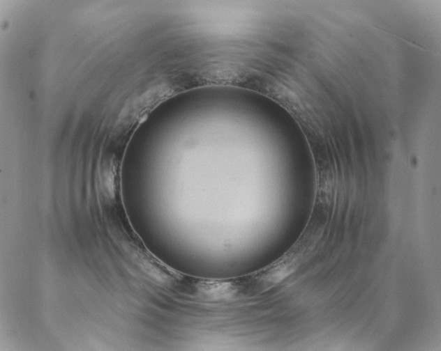 X0000089690334200706211257