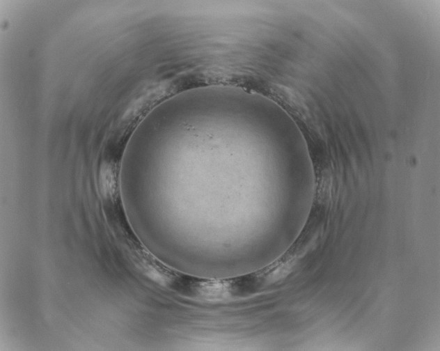 X0000089690335200706211257