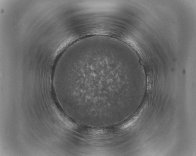 X0000089690349200706211256