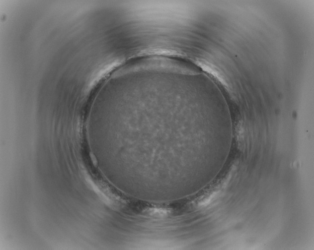 X0000089690352200706211256