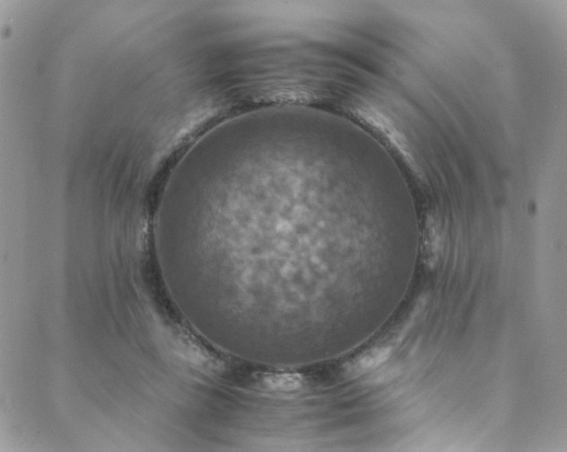 X0000089690355200706211256