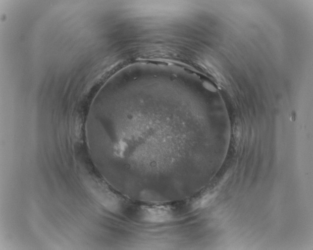 X0000089690359200706211256