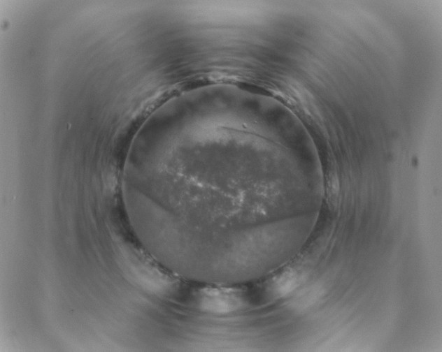 X0000089690367200706211256