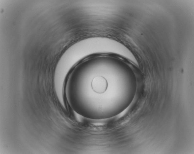 X0000089690368200706211256