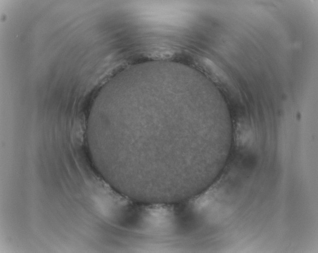 X0000089690370200706211256