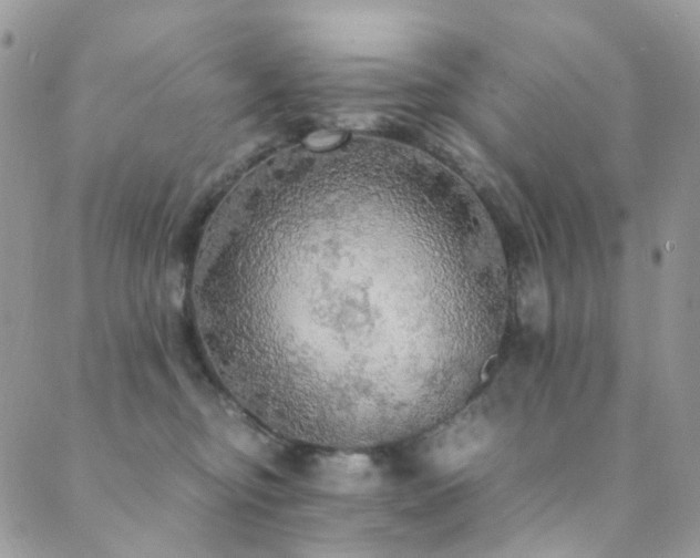 X0000089690374200706211256