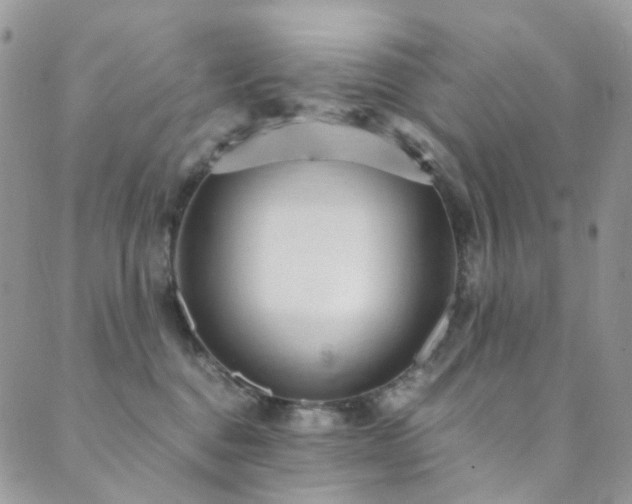 X0000089690376200706211256