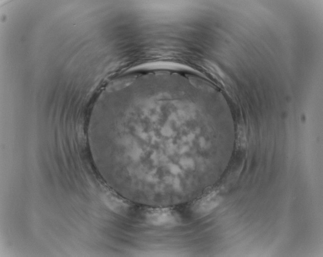 X0000089690377200706211256