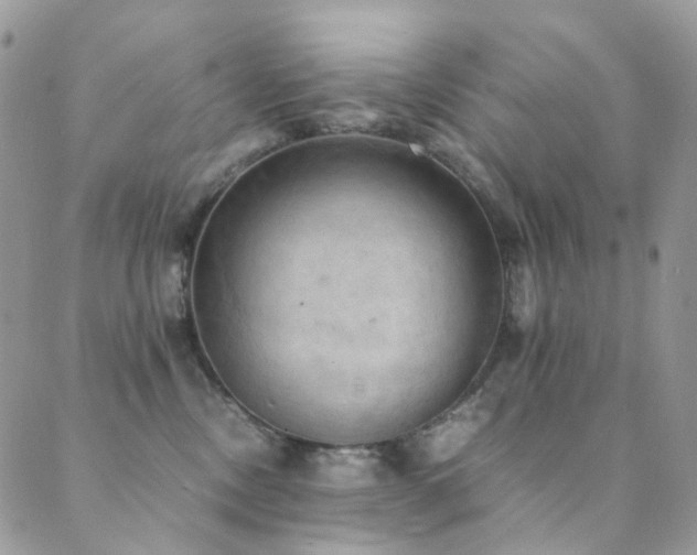 X0000089690378200706211256