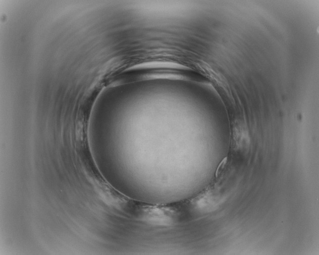 X0000089690379200706211256