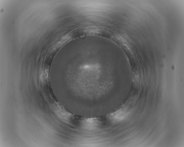 X0000089690382200706211256