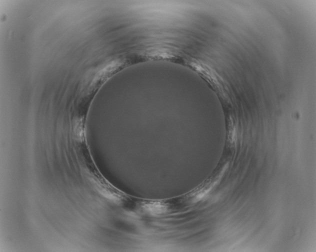 X0000089690383200706211256