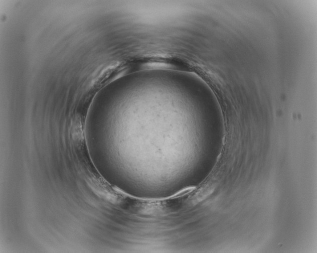 X0000089690384200706211256