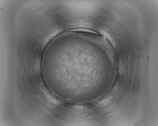 X0000089690394200706211256