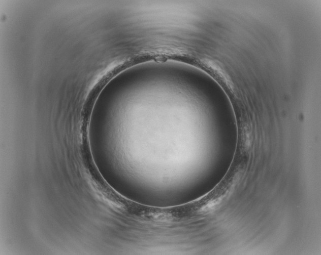 X0000089690395200706211256