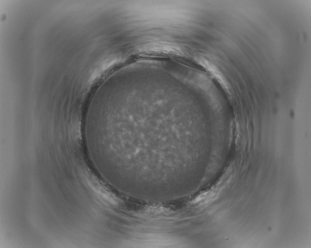 X0000089690399200706211255