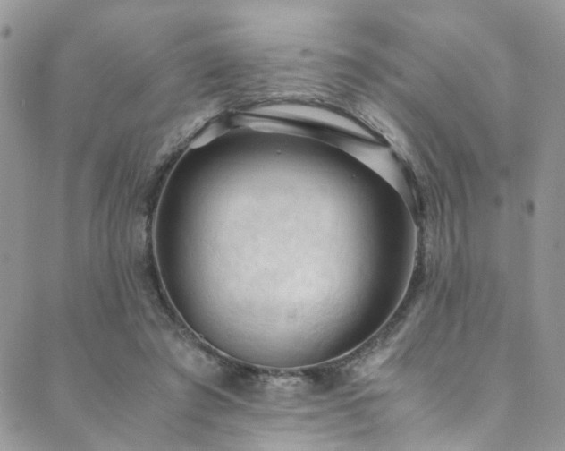 X0000089690401200706211255