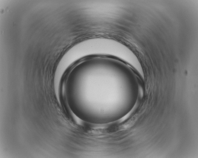 X0000089690417200706211255