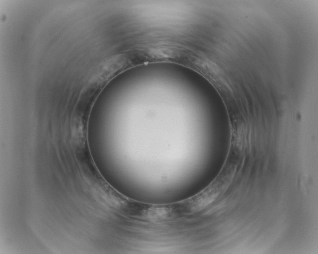 X0000089690418200706211255