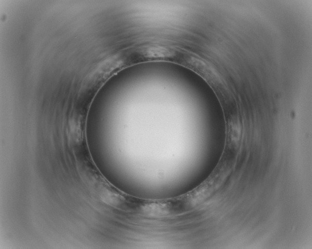 X0000089690422200706211255