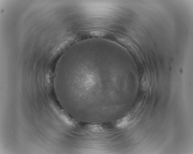 X0000089690424200706211255