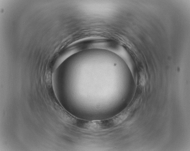 X0000089690425200706211255