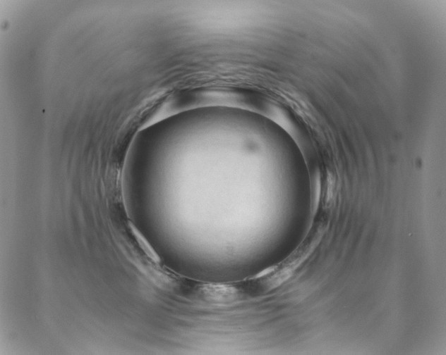 X0000089690429200706211255