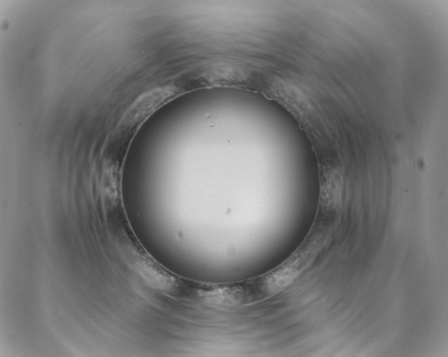 X0000089690430200706211255