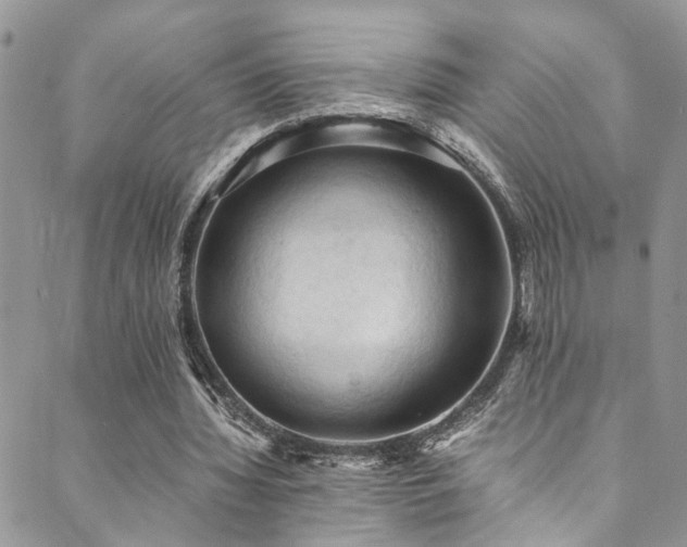 X0000089690436200706211254