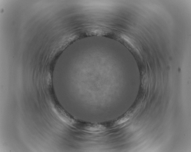 X0000089690459200706211255