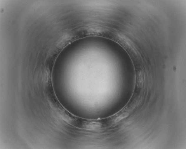 X0000089690463200706211255