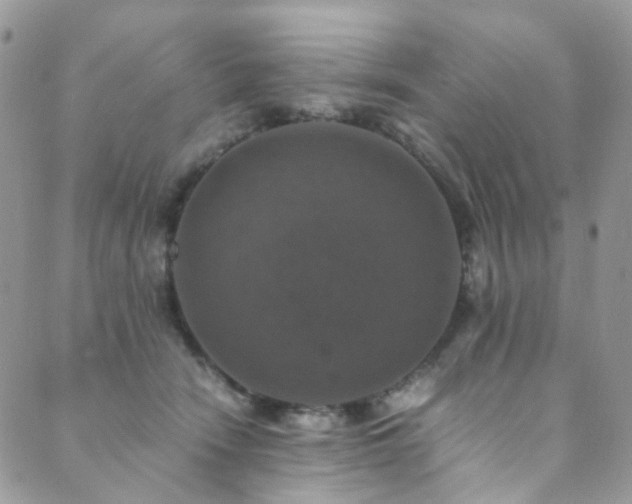 X0000089690466200706211255