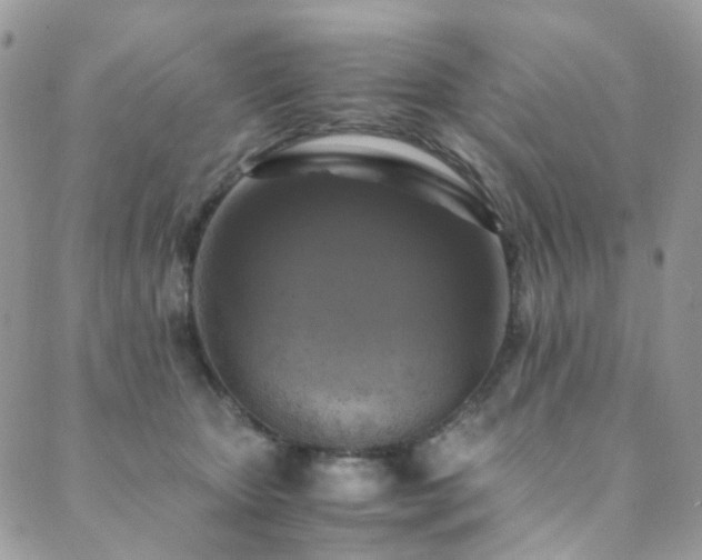 X0000089690467200706211255